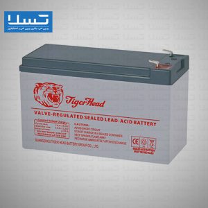 باتری یو پی اس تایگر