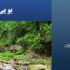 یو-پی-اس-در-گرگان
